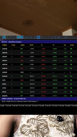 Introducing the Smart Flow Scanner: A Multi-Symbol EA That Analyzes Candle Range and Correlations