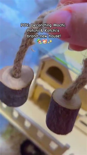 Part 3 Unboxing I Brand-new home setup for my favorite trio 💕