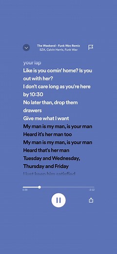 SZA Weekend Lyrics Explained