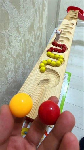 Marble Run Race 148 ☆ HABA Slope, Dump Truck & Garbage Trucks & Ambulance & Vehicle