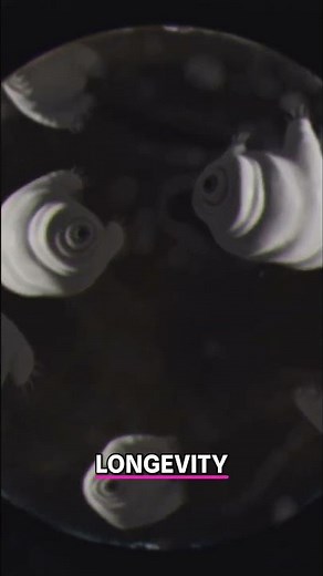 Amazing Cell Transformation: Transdifferentiation Explained! #shorts