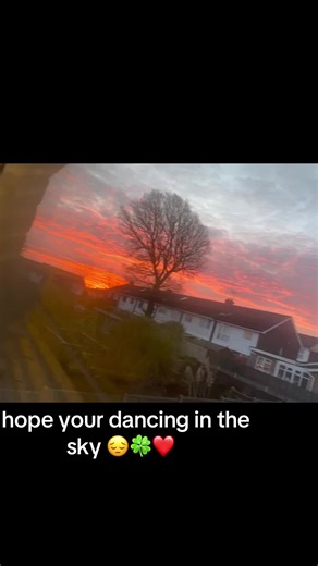 Dog loss ruby we miss you baby ❤️💕