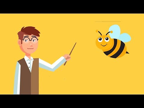 Pszczoły z Panem Nauczanką [Film Edukacyjny dla Dzieci]