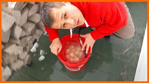 DIY Egg Washer Machine You Can Build for Under $20