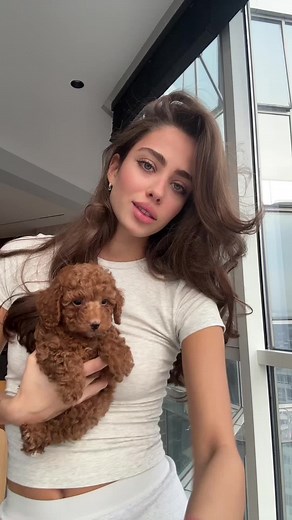 Ellina Stefanidi (@.ellina)’s videos with original sound - Dawg