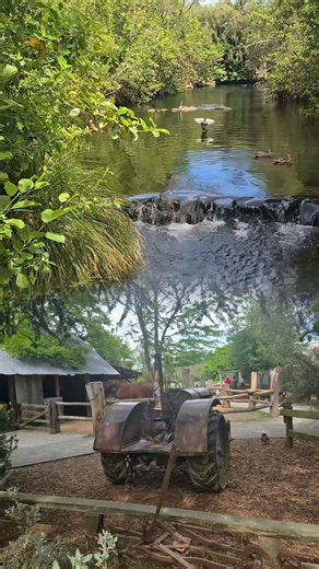 88 reactions · 24 comments | This song reminds me of my childhood growing up on our family farm in Vatiyaka. . Na lau tovu, na cavu Guinea, na Cabo masima vitovutovu just to mention a few. #Childhood #Farm #memoriestokeep | Rhoda Raibe | Facebook