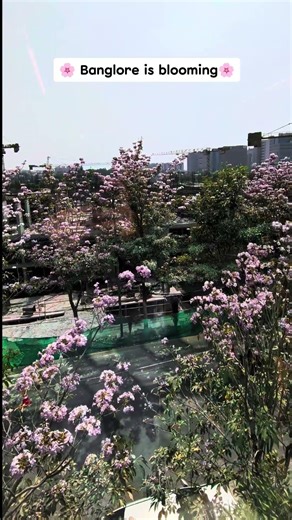 Beautiful view from office window 😄🪟