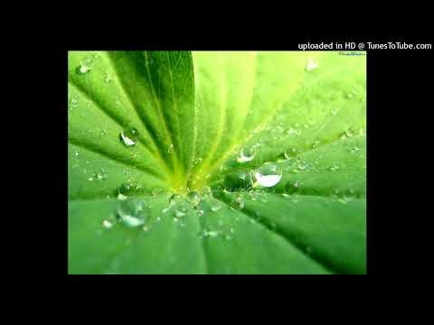 ROGUE - CleanMyPC Registry Cleaner 4.11 kg.xm