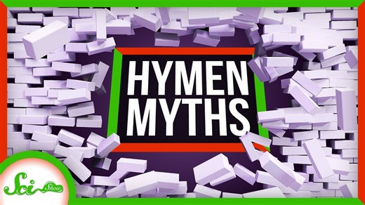 The hymen doesn't tell you anything about a person