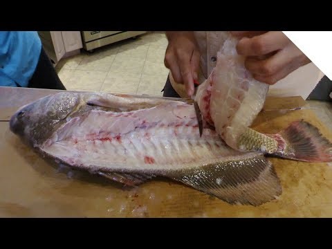 How to clean a sheepshead (drum) 2 easy ways - Sheepshead guide: Part 2