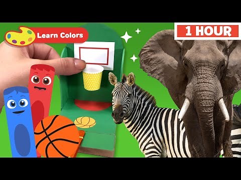 Color Crew Magic - Learn Colors for kids | Animals & Basketball Game | First University