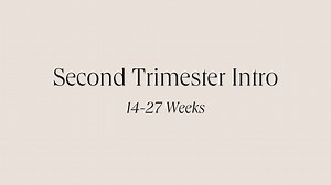 Second Trimester Intro: 13-27 Weeks - Info on Each Trimester - Soto Method