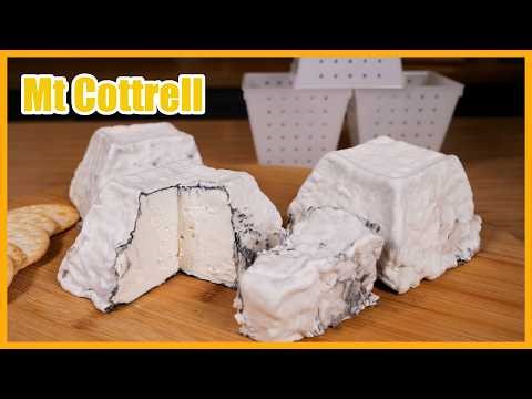 How I made Valencay Style Cheese aka Mt Cottrell