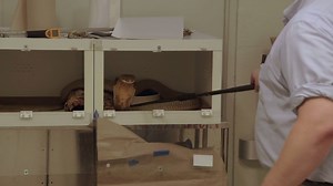 147K views · 947 reactions | Transporting a king cobra? We'll pass. | Animal Planet | Facebook