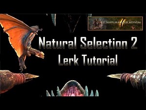 Natural Selection 2 Lerk Tutorial