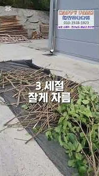 #Processing process of raw materials for the deciduous tree