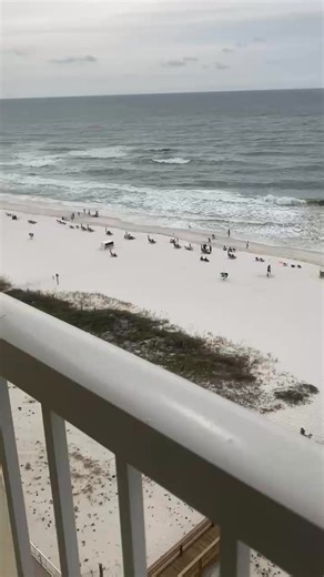 51 reactions · 15 comments | Fun and games on Gulf Shores beach Oct 4, 2025 | Betty Carter | Facebook