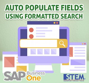 Auto-Populate UDFs in SAP Business One with Formatted Search