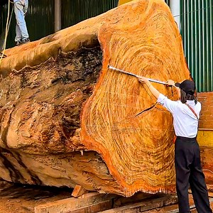 31K views · 364 reactions | Millions Of Years Old Giant Trees Transported From The Dark Continent And How Humans Handled Them | Woodworking Skill | Facebook