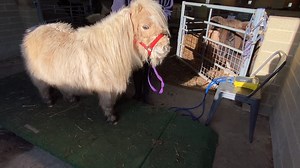 5.6K views · 289 reactions | This weeks instalment of Welfare...