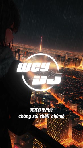 DJ阿尼 - 放生 「地点是城市某个角落」【動態歌詞/pīn yīn gē cí】【動態歌詞/Lyrics Video】 #DJ阿尼 #放生 #動態歌詞