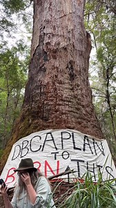 3.8K views · 121 reactions | Radio with Peter Barr ABC radio, announcement that Mt Clare burn is off for this year…but no change in policy, and message from Minister Swinbourn to the blockade | South West Forest Defenders | Facebook
