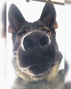 When you accidentally open the front camera 😂😂 | STUDENTbible