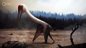 Pterosaurs were not actually dinosaurs, but the flying reptiles did spark some debate between paleontologists for years over their walking capabilities. Were they more like birds, or bats? With the help of trace fossils, they were able to confirm their fascinating terrestrial behaviors. The latest Eons • PBS digs deeper. | PBS Digital Studios