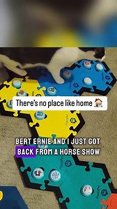 Meet Ernie, one half of @bertandernie_bestfriends! This sweet cat is happy to be home after a long day, and he uses his @fluentpet buttons to express that feeling! If you want to get your learner 'talking' like Ernie, visit community.fluent.pet for tips and strategies to help you get started! | FluentPet