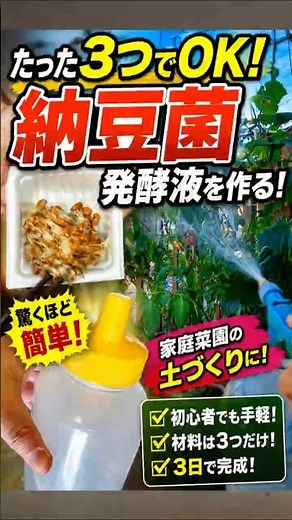 Complete in 3 ingredients: The ultimate fermented liquid | The soil secret your vegetables will l...