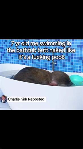 Funny Memes About Childhood Swimming Adventures