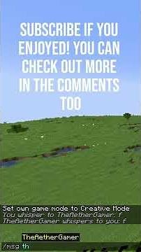 How to private message someone in chat in Minecraft 1.17! (Command Tutorial) #Shorts