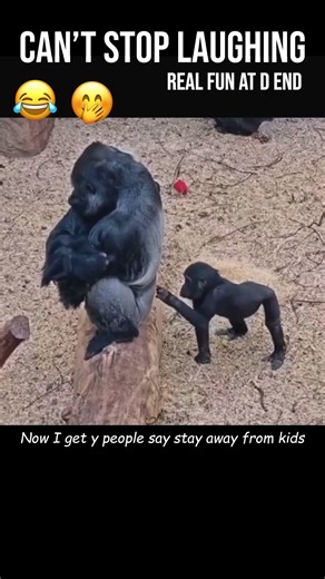 Got spared… still didn’t learn 😂