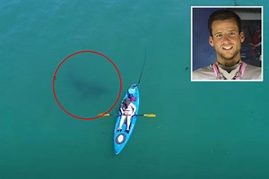 Great white shark spotted circling kayaker in Monterey Bay on same day surfer was attacked and killed nearby