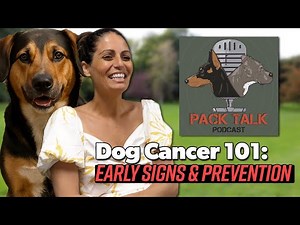 Dog Cancer 101: Early Signs, Treatment, and Prevention | Expert Advise from Veterinary Oncologist