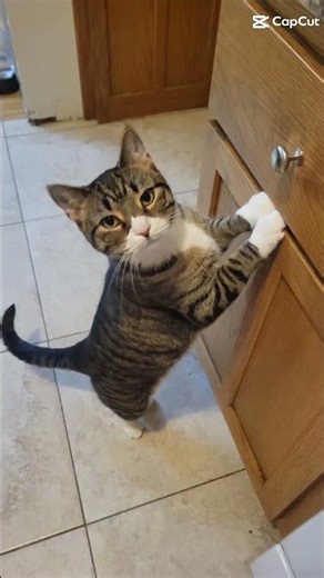 you will be the one I call on when I loss control