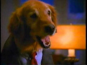 ABC-TV 7 New York - TGIF Commercial Block - October 1991