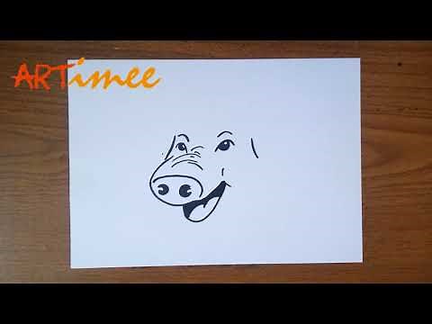 How to Draw a Pig Face