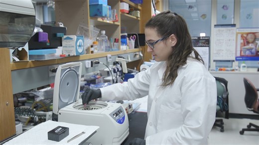 Immunoprecipitation Techniques: Purification of Proteins