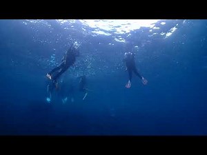 【ダイビング上手くなりたい】ドライスーツ潜降潜行（伊豆スキューバスクール撮影）