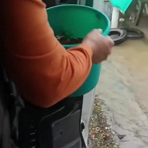 528K views · 8.9K reactions | Magandang dalaga na May matatabang alimango inalok Kay Daddy Frankie Daddy Frankie Official Aling Rochel Vlogs | Boss JB Vlogs | Facebook