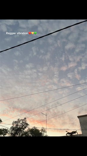 💖 #skyro #fypシ #viral #quotes #islandboy🌴