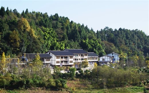 尼康d5300套用z-log