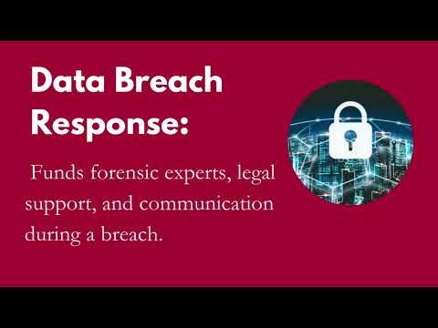 Cyber Insurance- Defending Your Business In The Digital Age