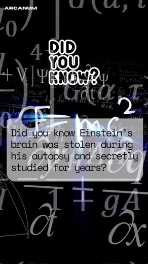 Einstein’s Brain Didn’t Rest in Peace…