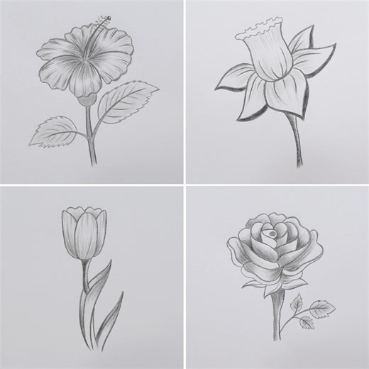 Aprende a dibujar flores a lápiz para principiantes ✍️ | Art Paint