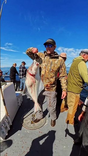 Fishing the Halibut Capital of the World — Maverick Charters Homer Alaska | #youneedalaska #alaska