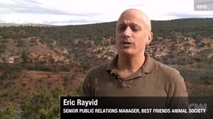 Sad twist in dog euthanasia case | CNN