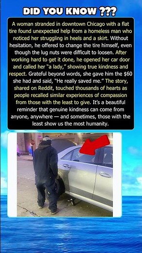 Homeless Man Helps Woman With Flat Tire in Chicago — A Simple Act That Melted Hearts ❤️
