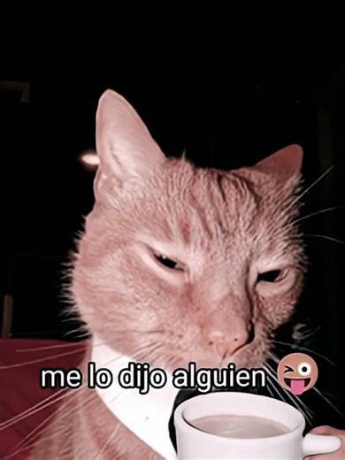 #alien #cat #funny #relatable #spanish #memes #shorts